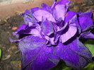 DSCN1170