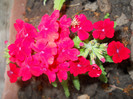 DSCN1178