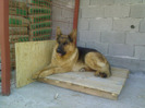 HASSAN I
