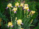042
