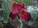 093