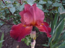 091