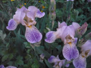 089