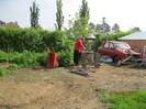 IMG_0311