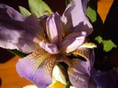 DSC00866