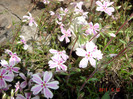 DSC00062