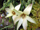 DSC00069