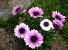 DSC00080