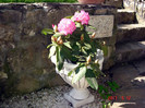 DSC00087