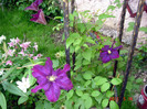 DSC00109