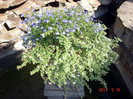 DSC00115