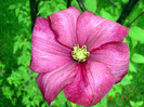 DSC00126