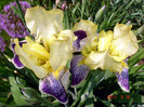DSC00134