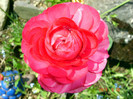 DSC00140