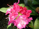 DSC00149