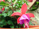 DSC00160