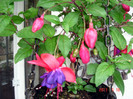 DSC00172