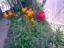 06052011(050)