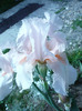 019