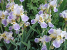 071