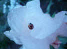 046