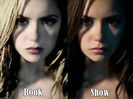 books-vs-show-the-vampire-diaries-15988778-1024-768