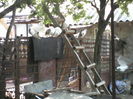 P19-05-11_16.05