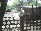P19-05-11_16.18[2]