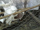 P20-05-11_12.43[1]