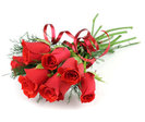 Trandafiri-rosii-7-trandafiri-rosii-poza-t-P-n-dreamstime_4010633