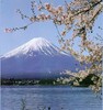 japonia (23)