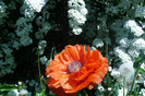 P1070130