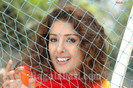 sameeksha496