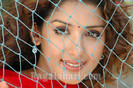 sameeksha499