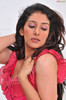 sameeksha-pink-ragalahari-photosession15
