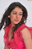 sameeksha-pink-ragalahari-photosession41