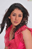 sameeksha-pink-ragalahari-photosession42