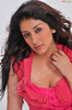 sameeksha-pink-ragalahari-photosession50