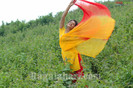 sameeksha4123