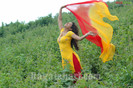sameeksha4124