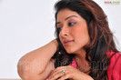 sameeksha-pink-ragalahari-photosession169
