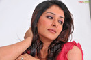 sameeksha-pink-ragalahari-photosession170