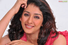 sameeksha-pink-ragalahari-photosession172