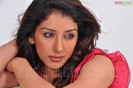 sameeksha-pink-ragalahari-photosession176