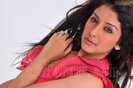 sameeksha-pink-ragalahari-photosession184