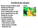 Certificat de adoptie