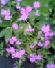 Fotogr.0038