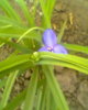 Fotogr.0039