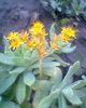 Fotogr.0042