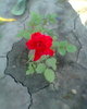 Fotogr.0070
